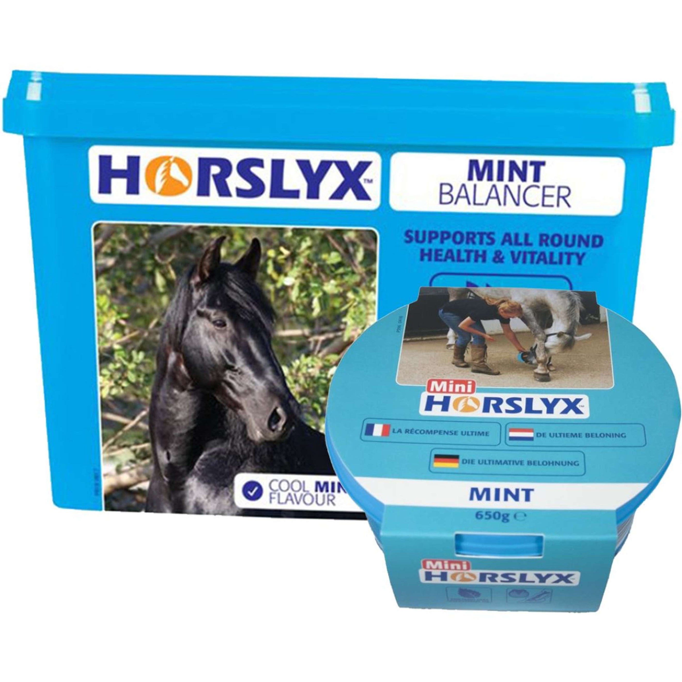 Horslyx Pierre à Lécher Mint