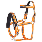 Imperial Riding Caveçon Nylon Néon Orange