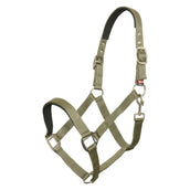 Imperial Riding Licol Classic Sport Olive Vert