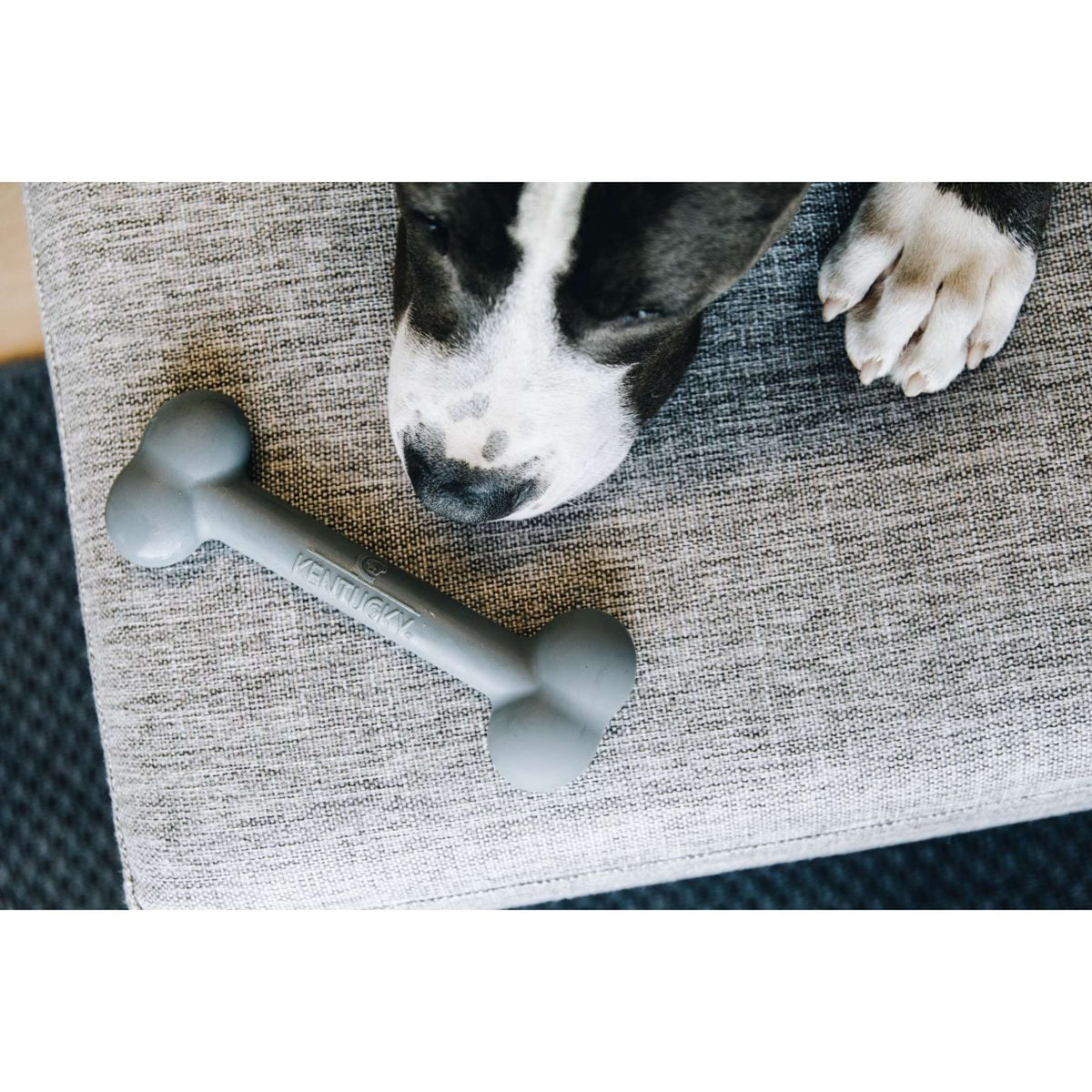 Kentucky Jouets pour Chien Os de Silicone Gris