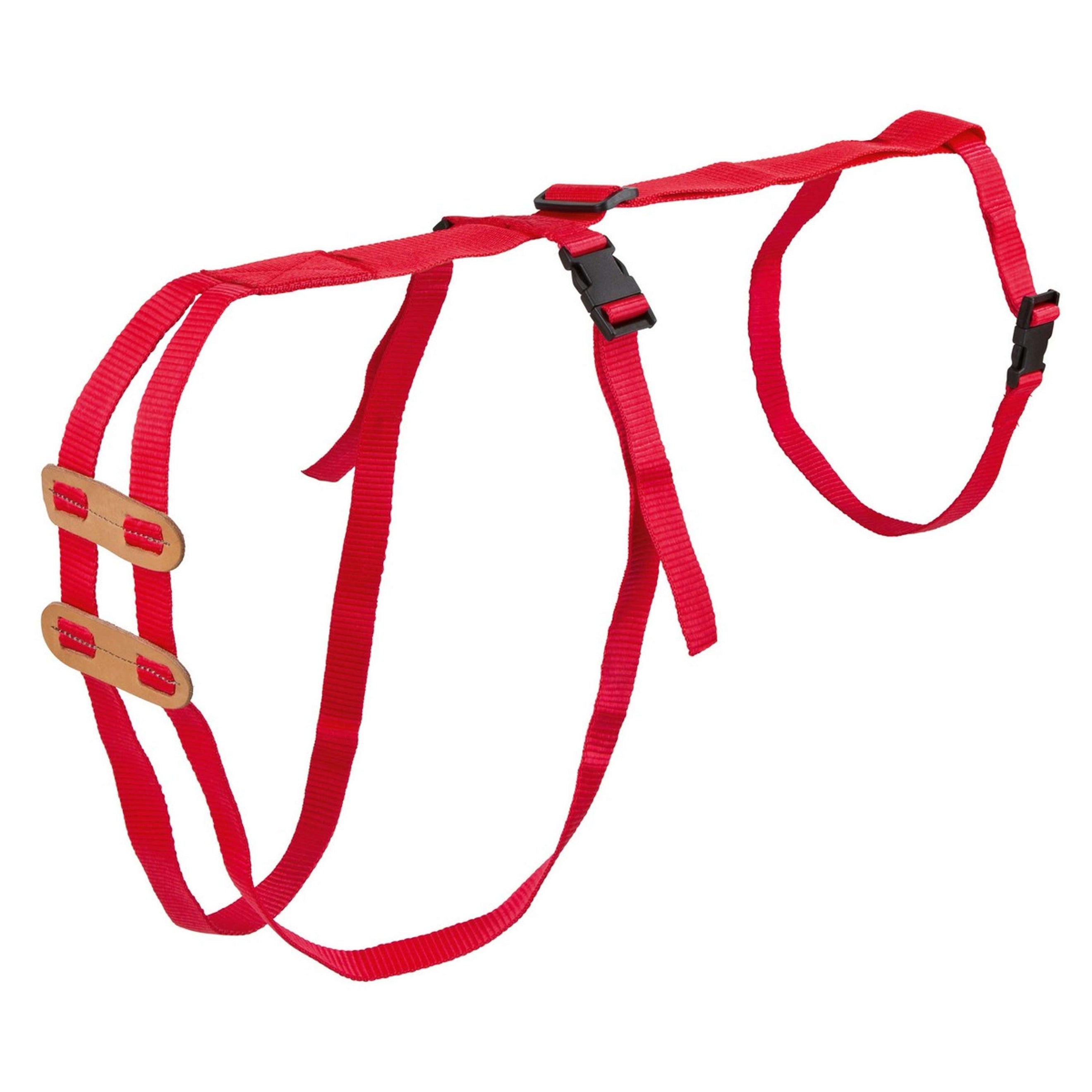 Kerbl Bandage de Prolapsus Mouton Kerbl Bandage de Prolapsus Mouton