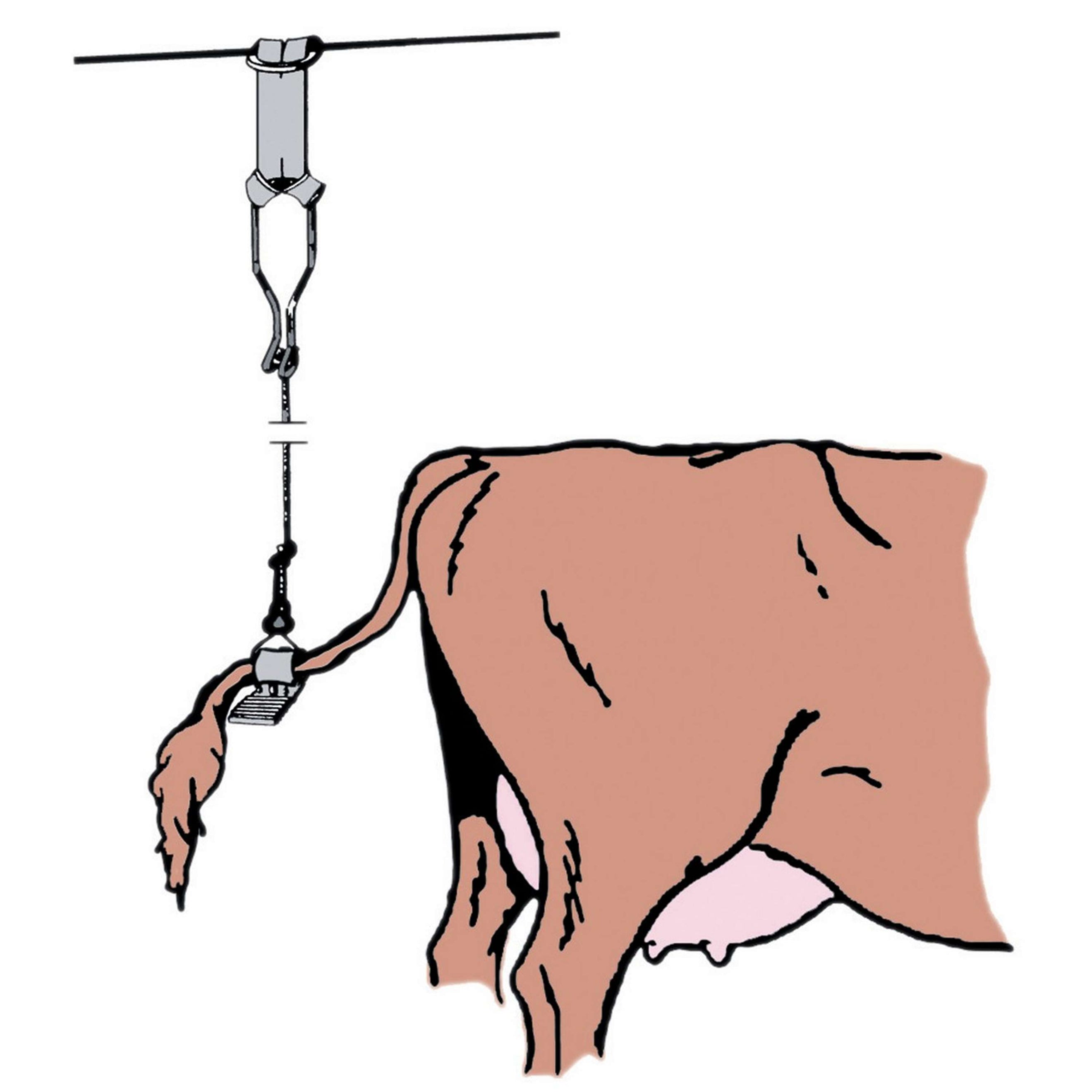 Kerbl Caoutchouc inférieur avec ardillon de fermeture pour attache-queue de vache