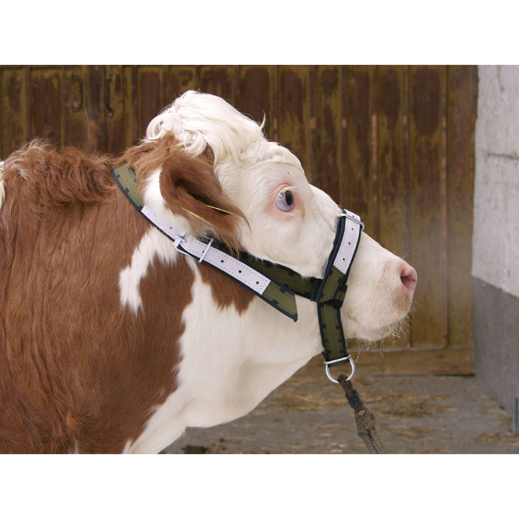 Kerbl Licol Vache Support Vert/Noir