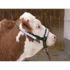 Kerbl Licol Vache Support Vert/Noir
