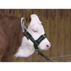 Kerbl Licol Veau Support Vert/Noir