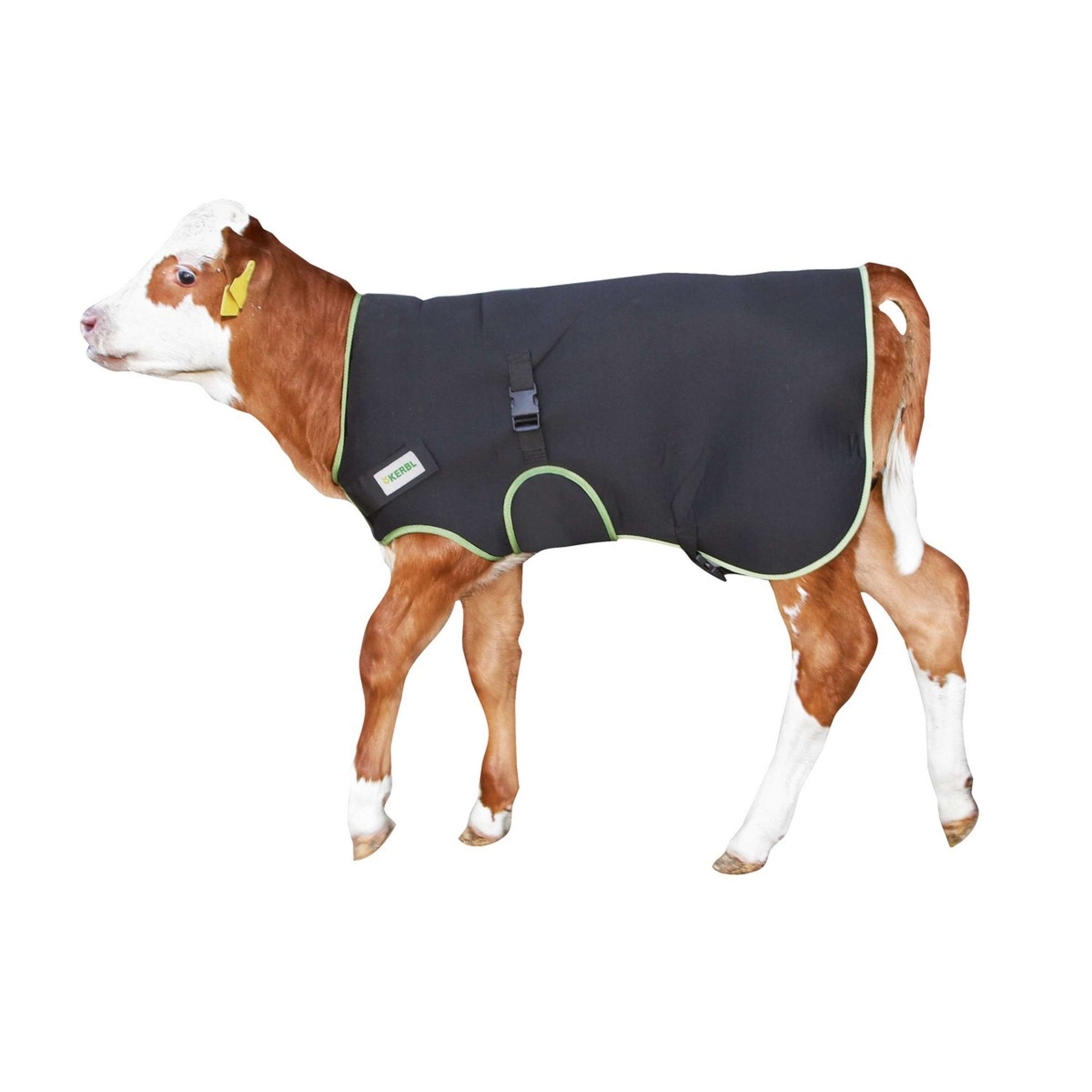 Kerbl Couverture pour Veau Noir Kerbl Couverture pour Veau Noir