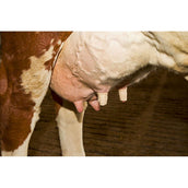 Kerbl Pansement pour Trayons Udderosoft