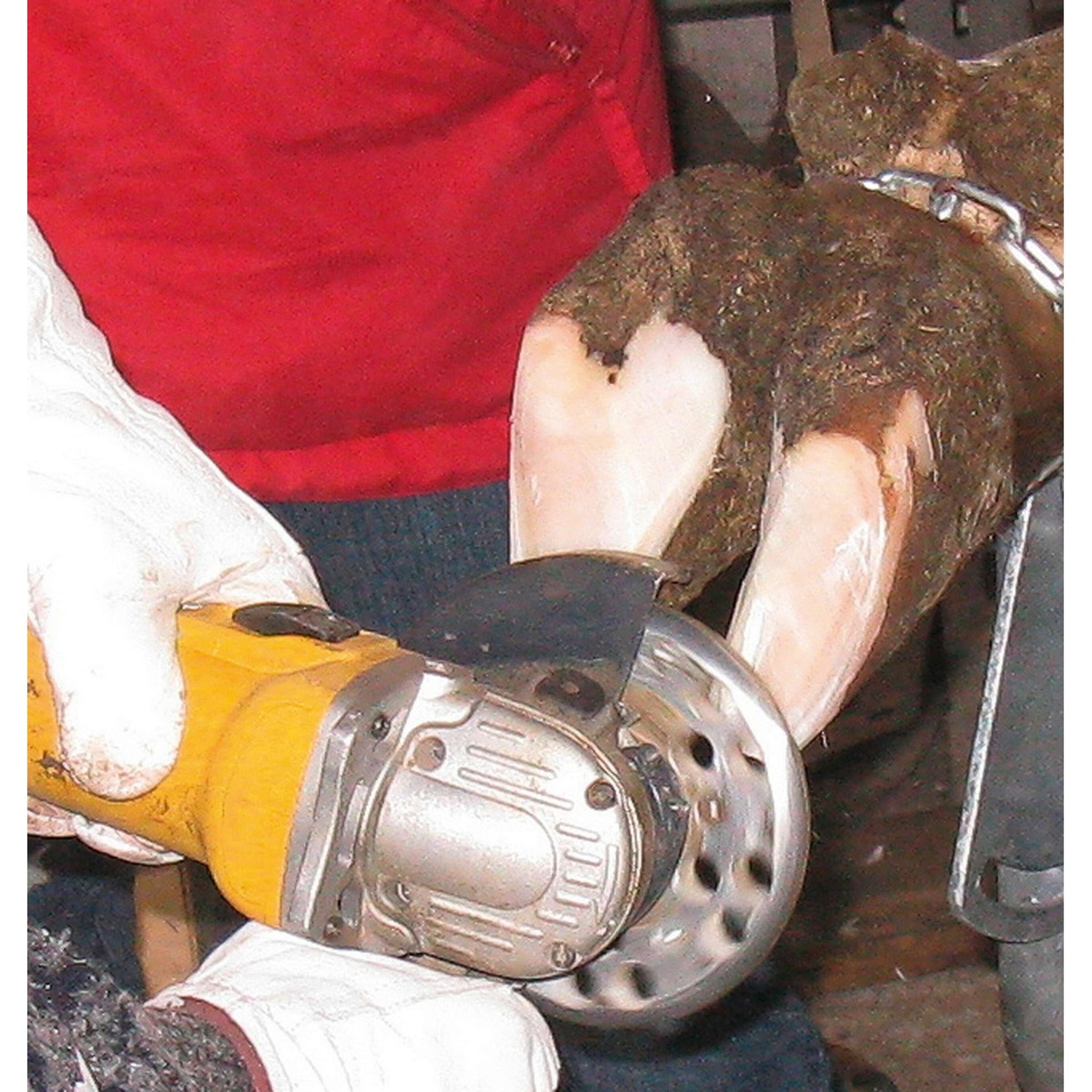 Kerbl Disque Abrasif de Parage Profi 6-cut Métal