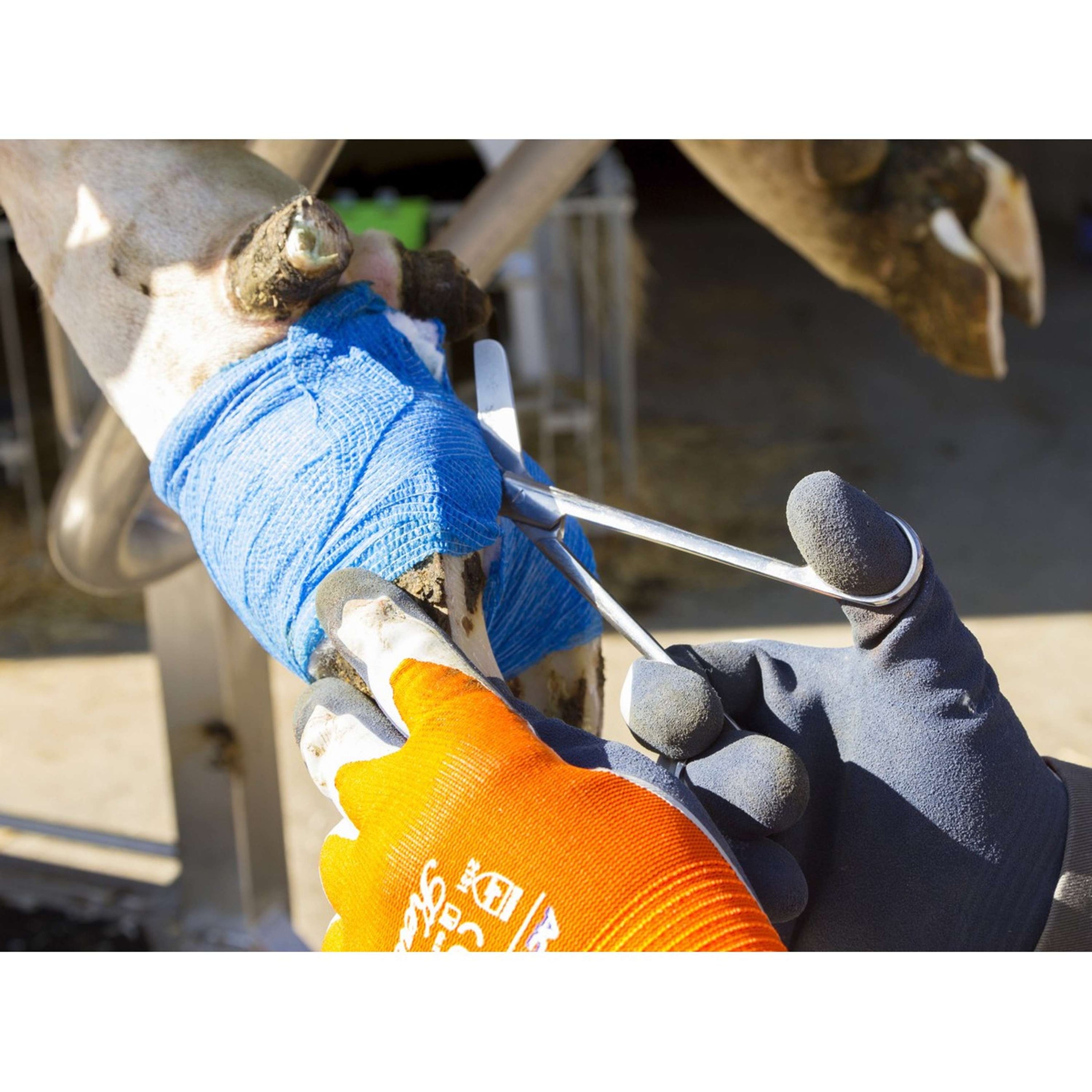 Kerbl Ciseaux à pansement en inox RVS Kerbl Ciseaux à pansement en inox RVS