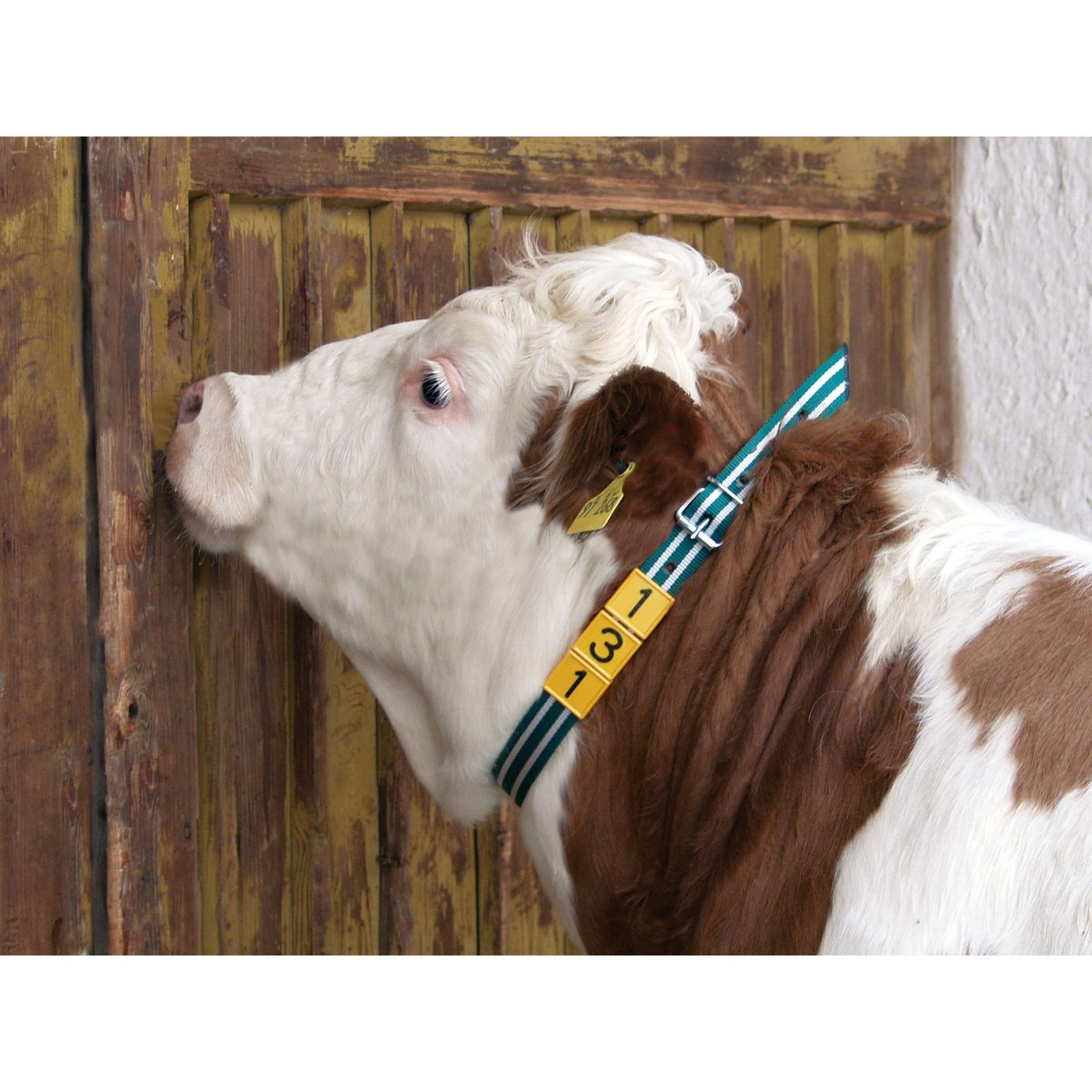 Kerbl Collier d'Identification Vert/Blanc Kerbl Collier d'Identification Vert/Blanc