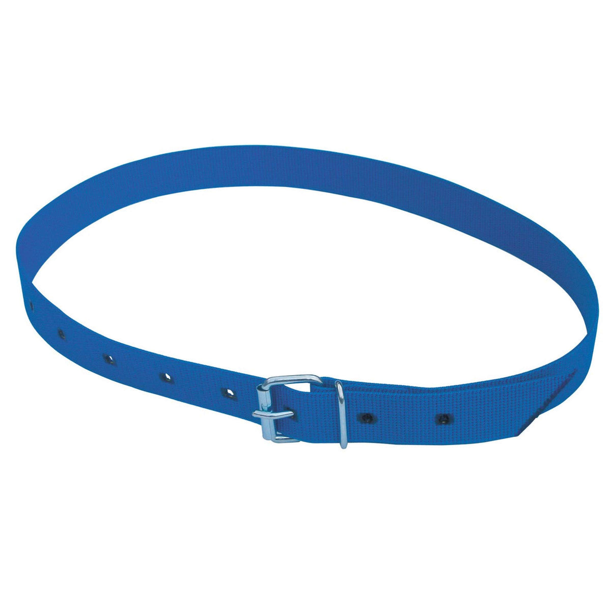 Kerbl Collier d'Identification Bleu