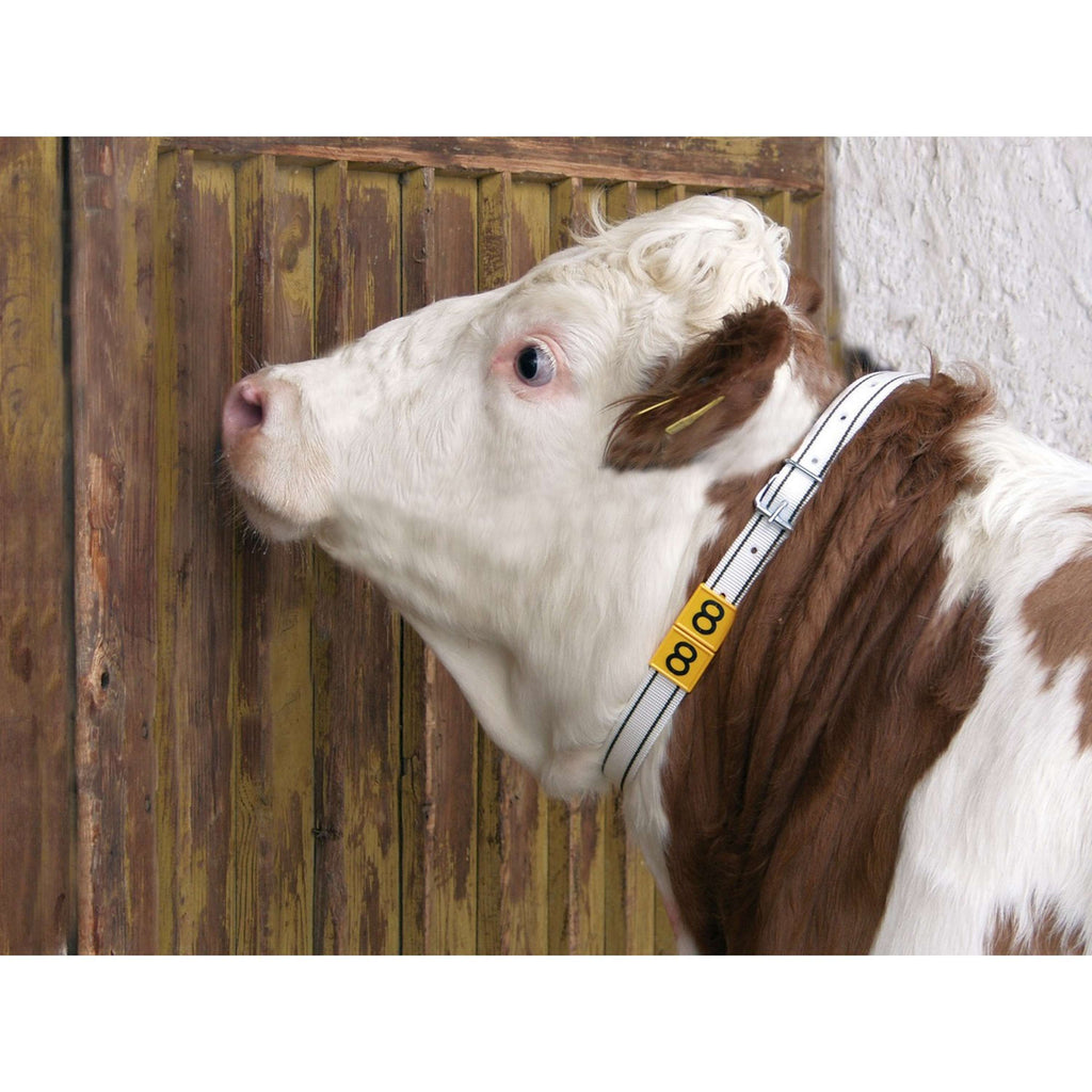 Kerbl Collier d'Identification Blanc