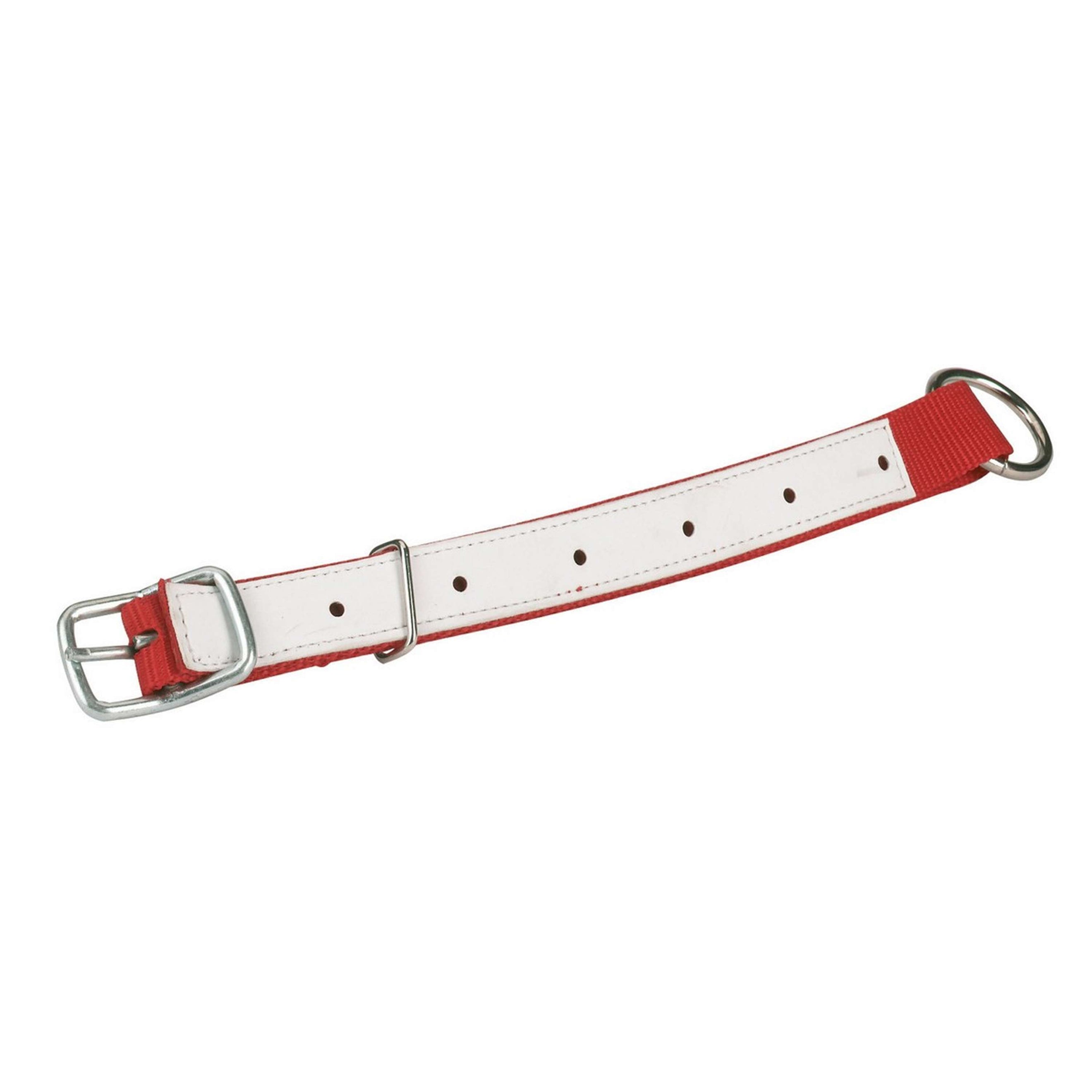 Kerbl Collier Nylon Mouton/Chèvre Rouge Kerbl Collier Nylon Mouton/Chèvre Rouge