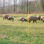 Agradi Power Filet à Moutons Double Goupille