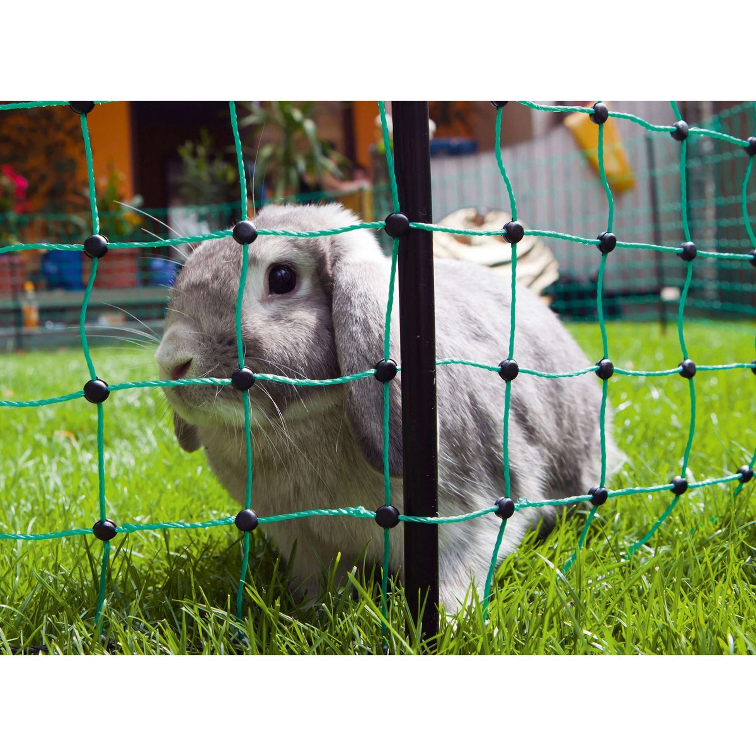 Kerbl Filet pour Lapin Simple Vert Kerbl Filet pour Lapin Simple Vert