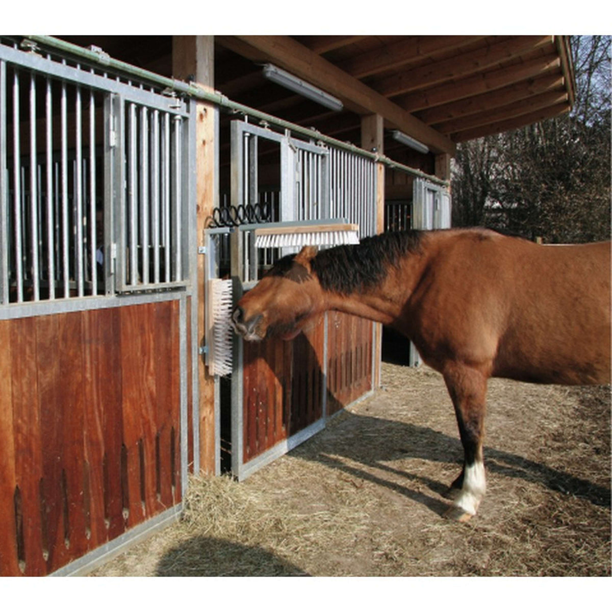 Kerbl Brosse pour Bétail Texas