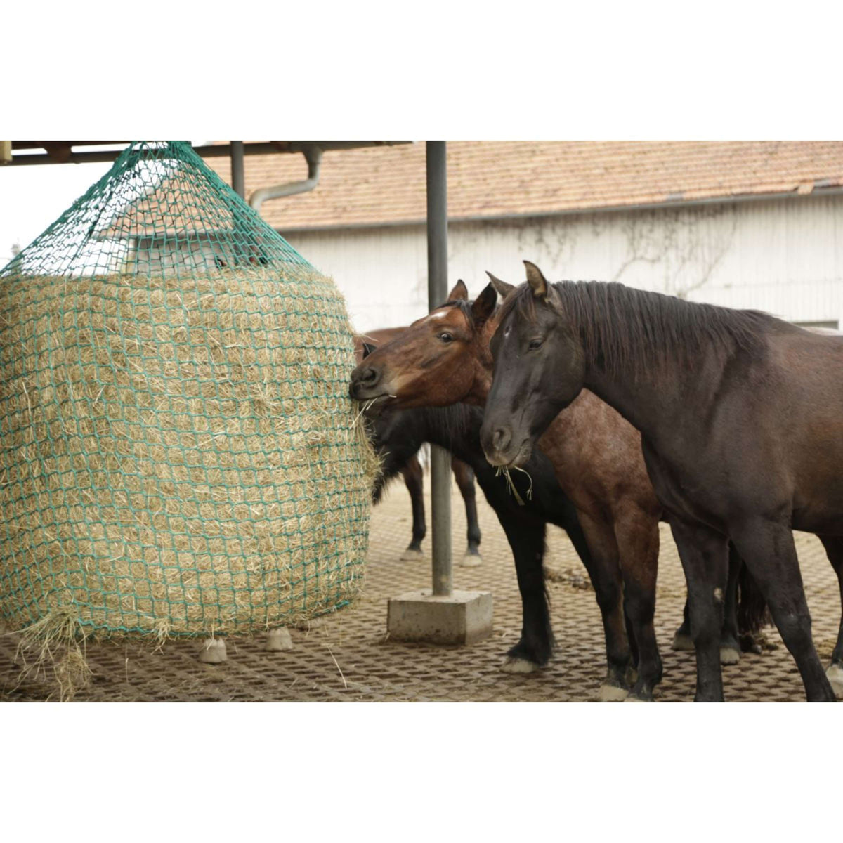 Kerbl Filet à Suspendre