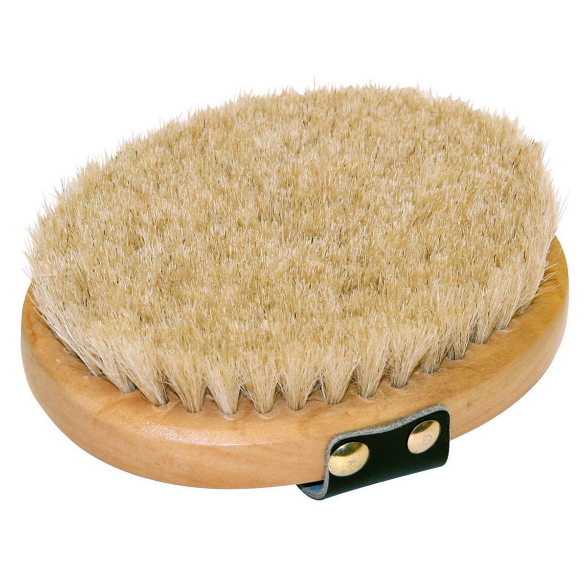 Kerbl Brosse de lustrage Brush&Co