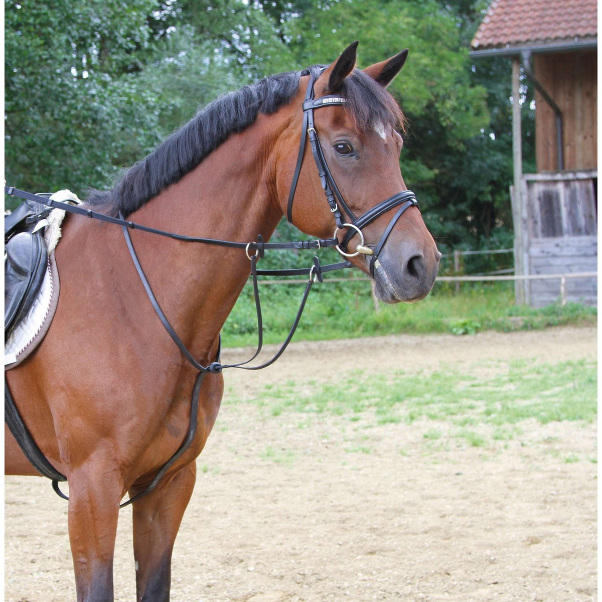 Kerbl Martingale en Cuir Noir