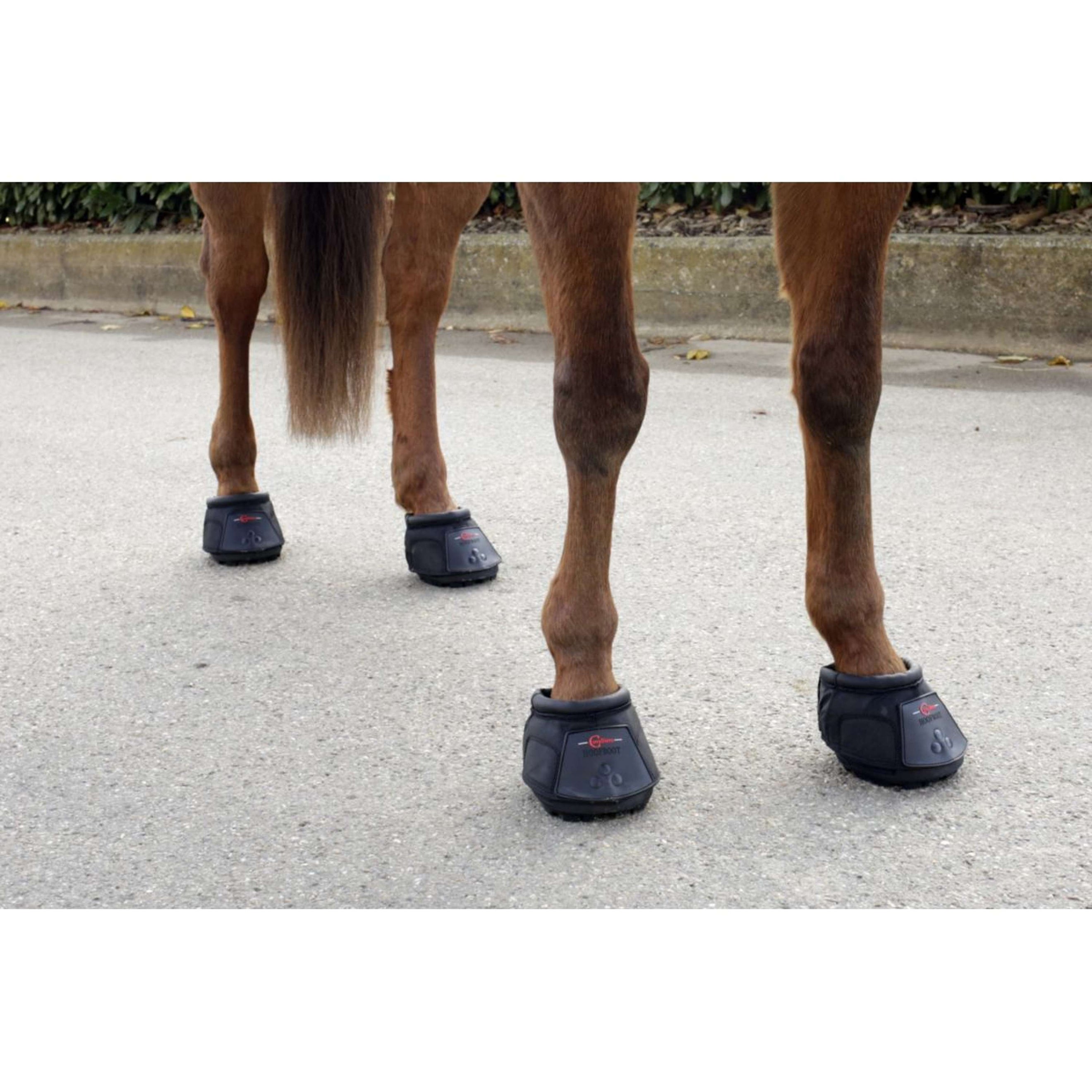 Covalliero Sandale pour chevaux