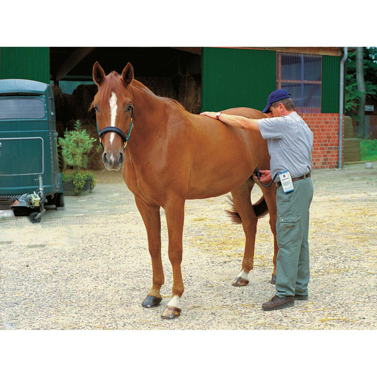 Kerbl Appareil de Diagnostic de la Gestation pour les Chevaux