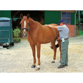 Kerbl Appareil de Diagnostic de la Gestation pour les Chevaux