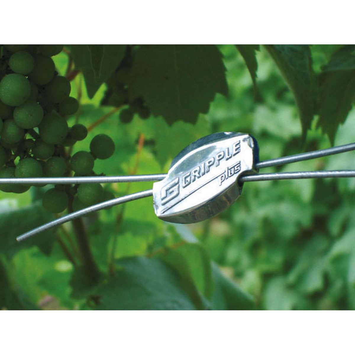 Ako Connecteur de Fil Gripple 20 Pièces