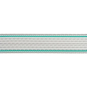 Ako Ruban de Clôture Premium Plus Blanc/Vert