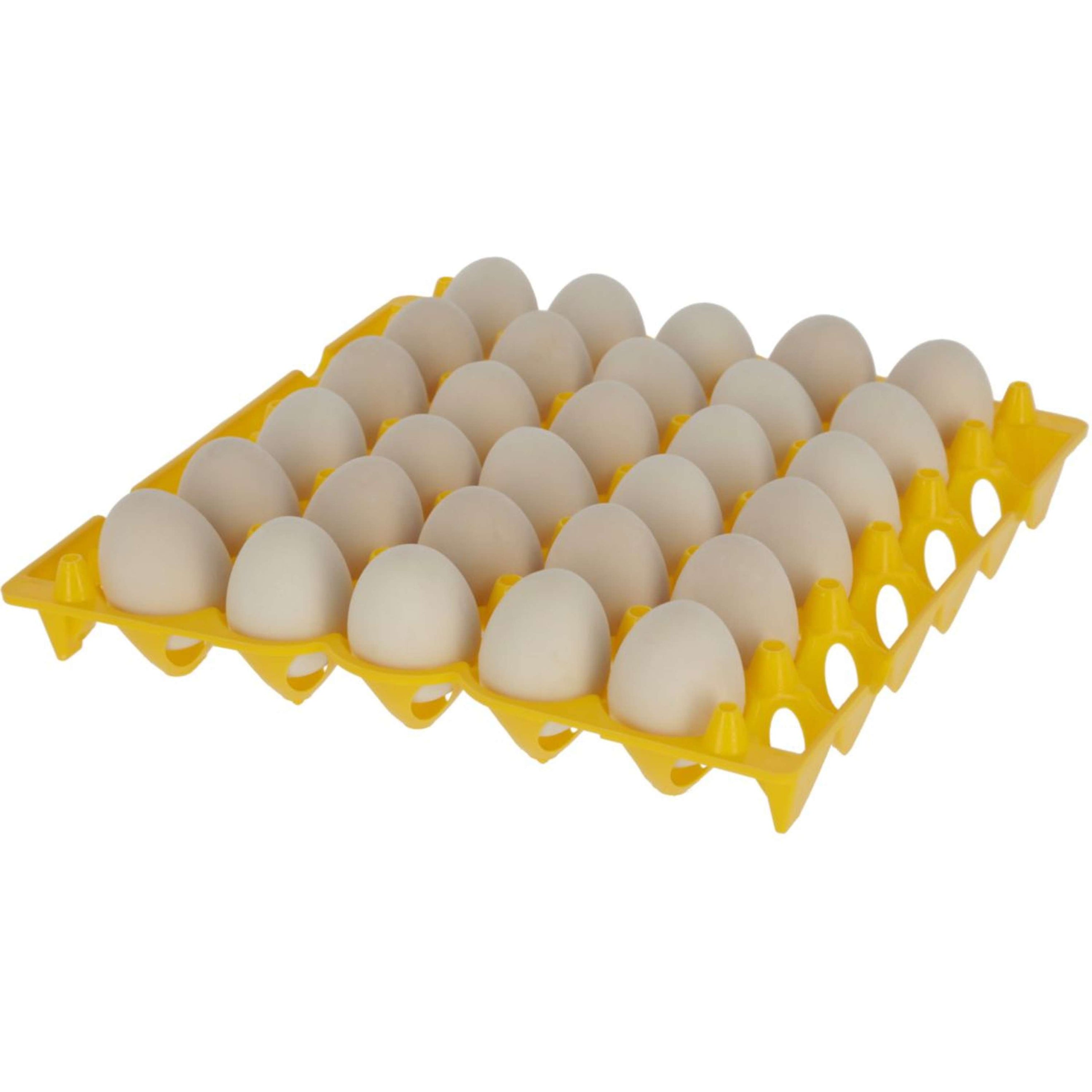 Kerbl Porte-oeufs plastique 30 oeufs