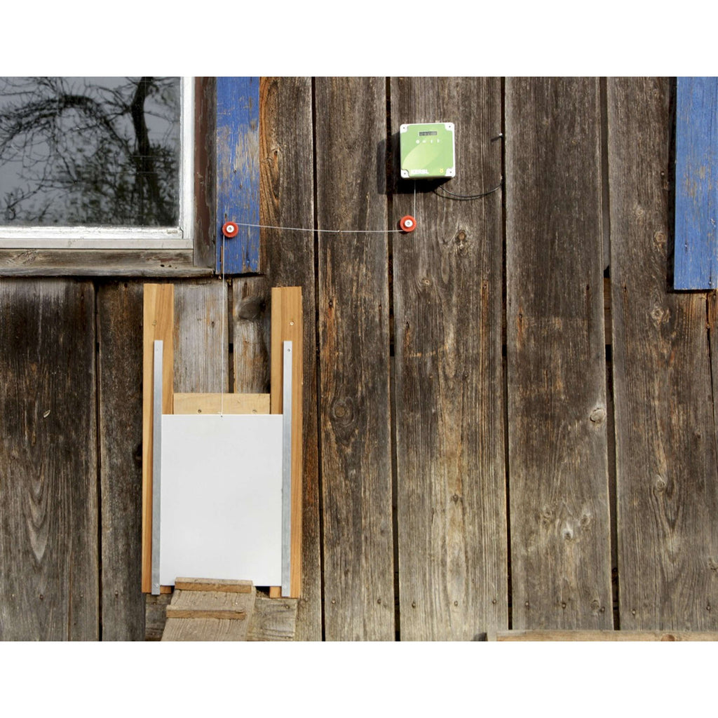 Kerbl Contrôleur Automatique Porte de poulet Gris/Vert