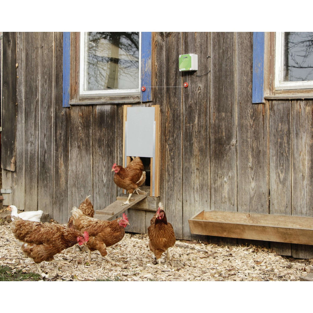 Kerbl Contrôleur Automatique Porte de poulet Gris/Vert
