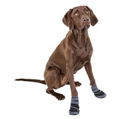 Kerbl Chaussures pour Chien Active Noir/Gris