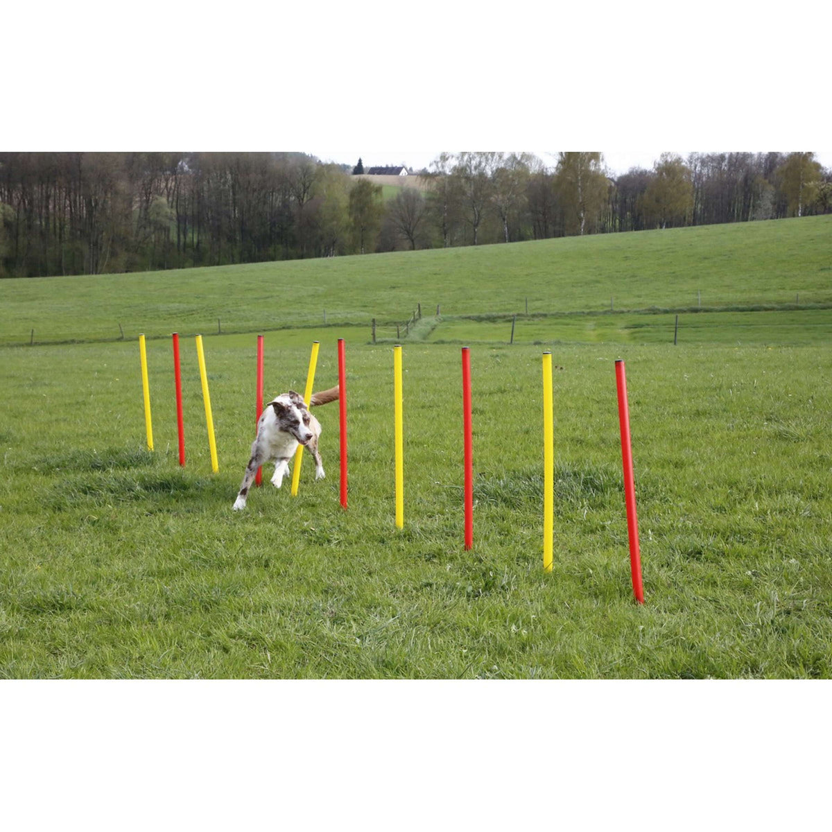 Kerbl Agilité Set Complet 3 parties Rouge/Jaune