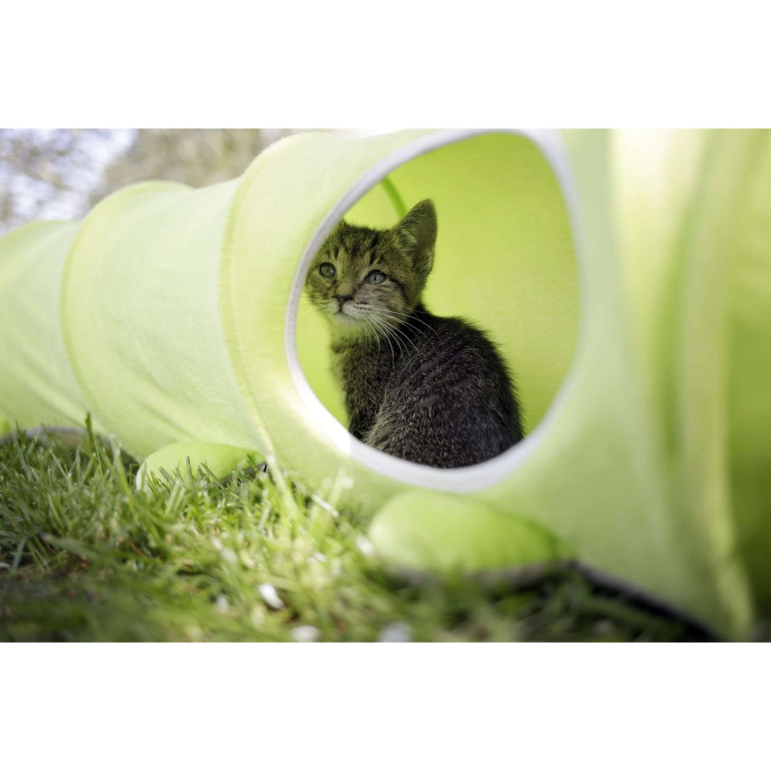 Kerbl Tunnel de Chat Raupe