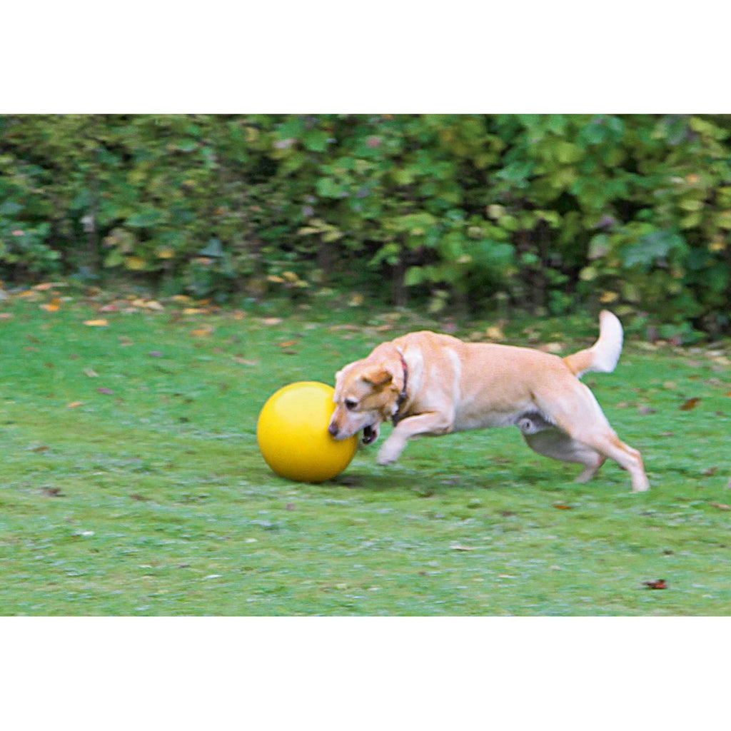 Kerbl Ballon de Jeu En Plastique Jaune pour Chien Jaune
