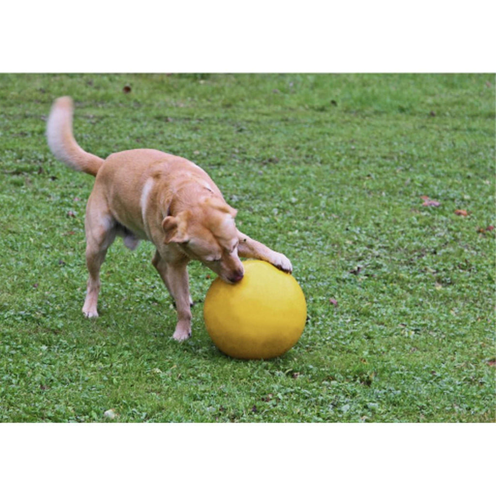 Kerbl Ballon de Jeu En Plastique Jaune pour Chien Jaune