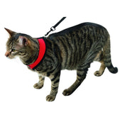 Kerbl Harnais pour Chat Active avec Ligne 120cm Rouge