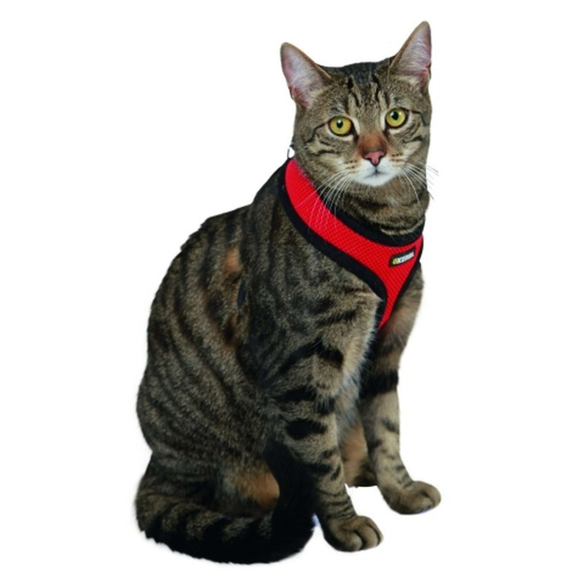 Kerbl Harnais pour Chat Active avec Ligne 120cm Rouge