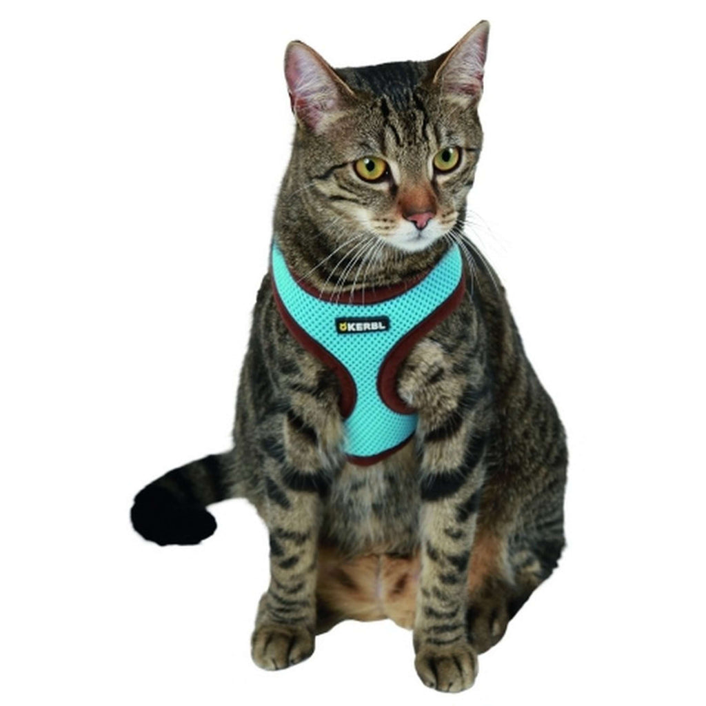 Kerbl Harnais pour Chat Active avec Ligne 120cm Bleu