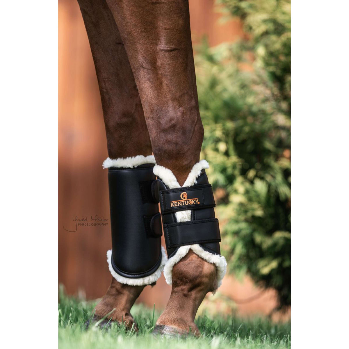 Kentucky Turnout Boots Jambes Avant Noir