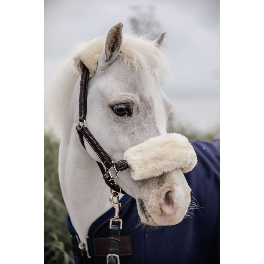 Kentucky Licol en Cuir Leather with Sheepskin