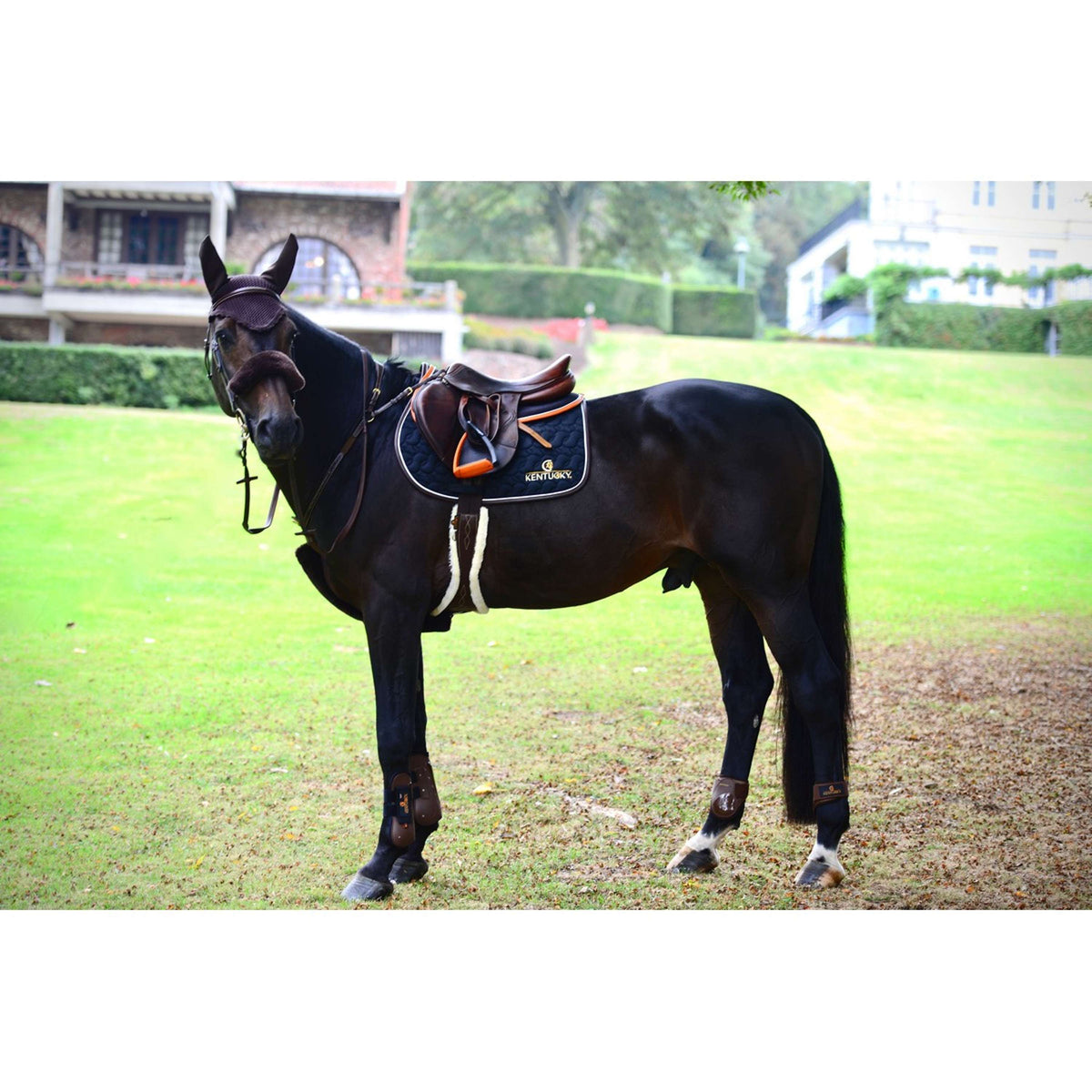 Kentucky Fourrure de Collier de Chasse Sheepskin Marron