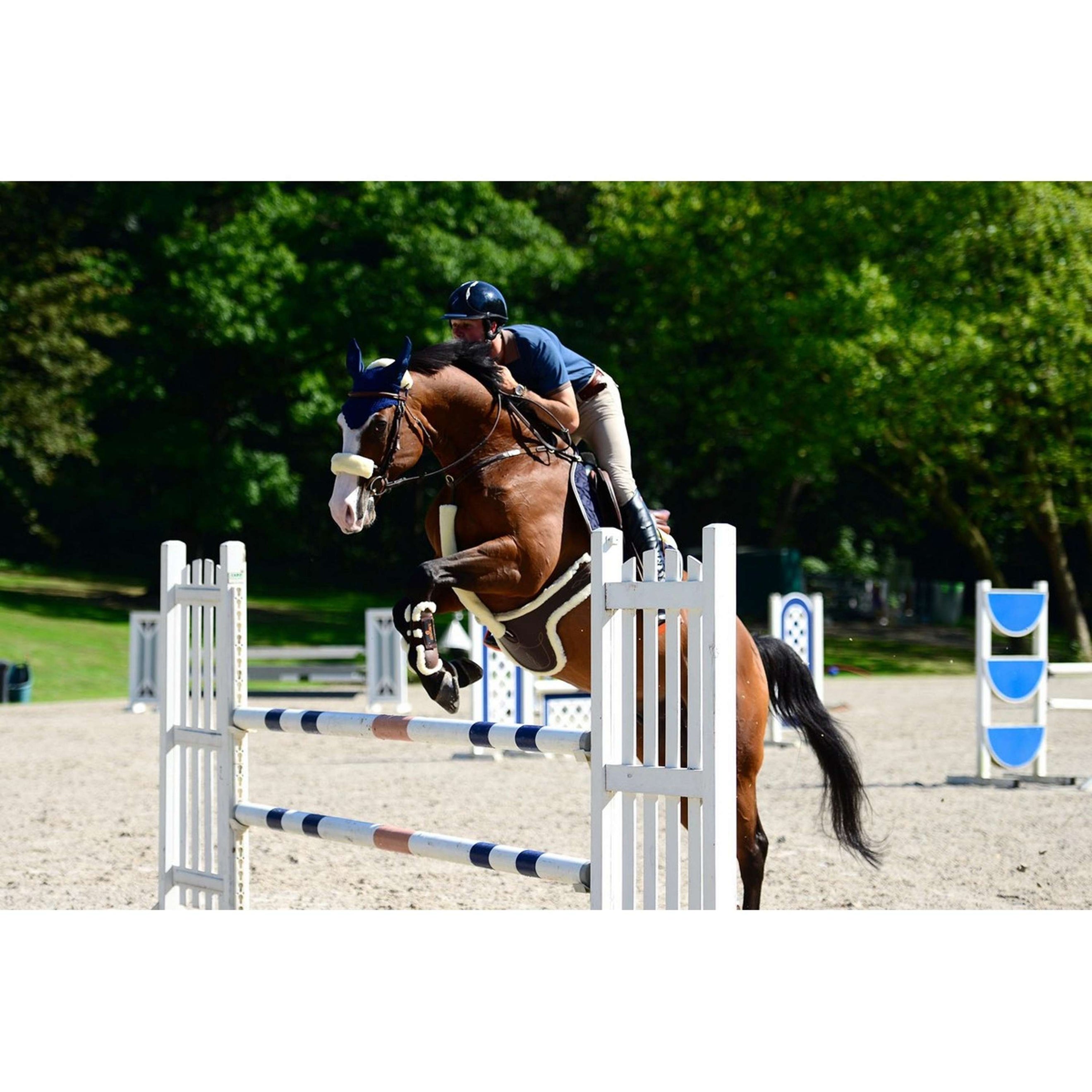 Kentucky Fourrure de Collier de Chasse Sheepskin Naturel Kentucky Fourrure de Collier de Chasse Sheepskin Naturel