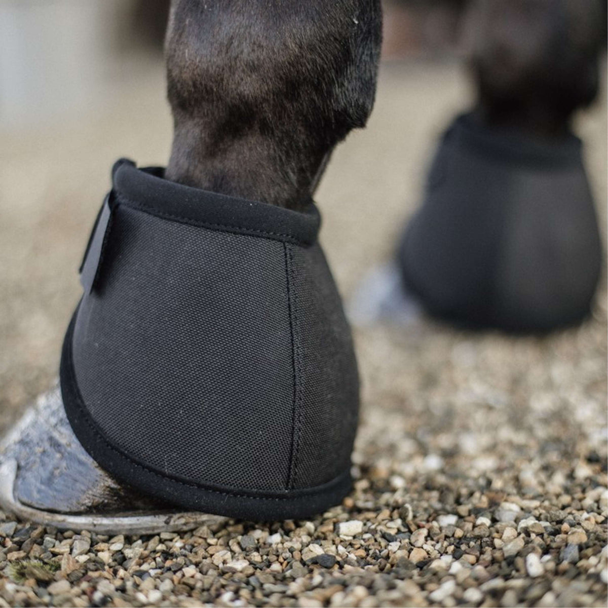 Kentucky Cloches d'Obstacles Heel Protection Noir