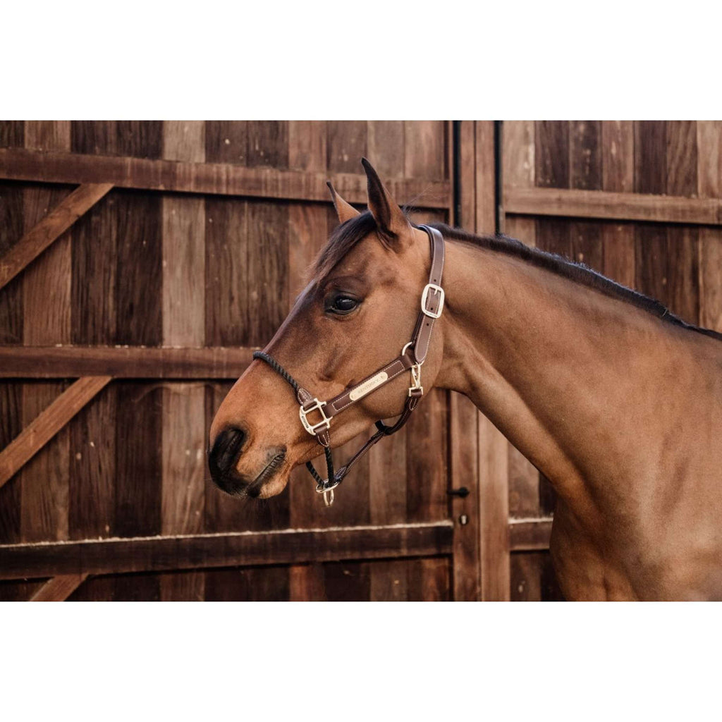 Kentucky Licol en Cuir et Corde Noir