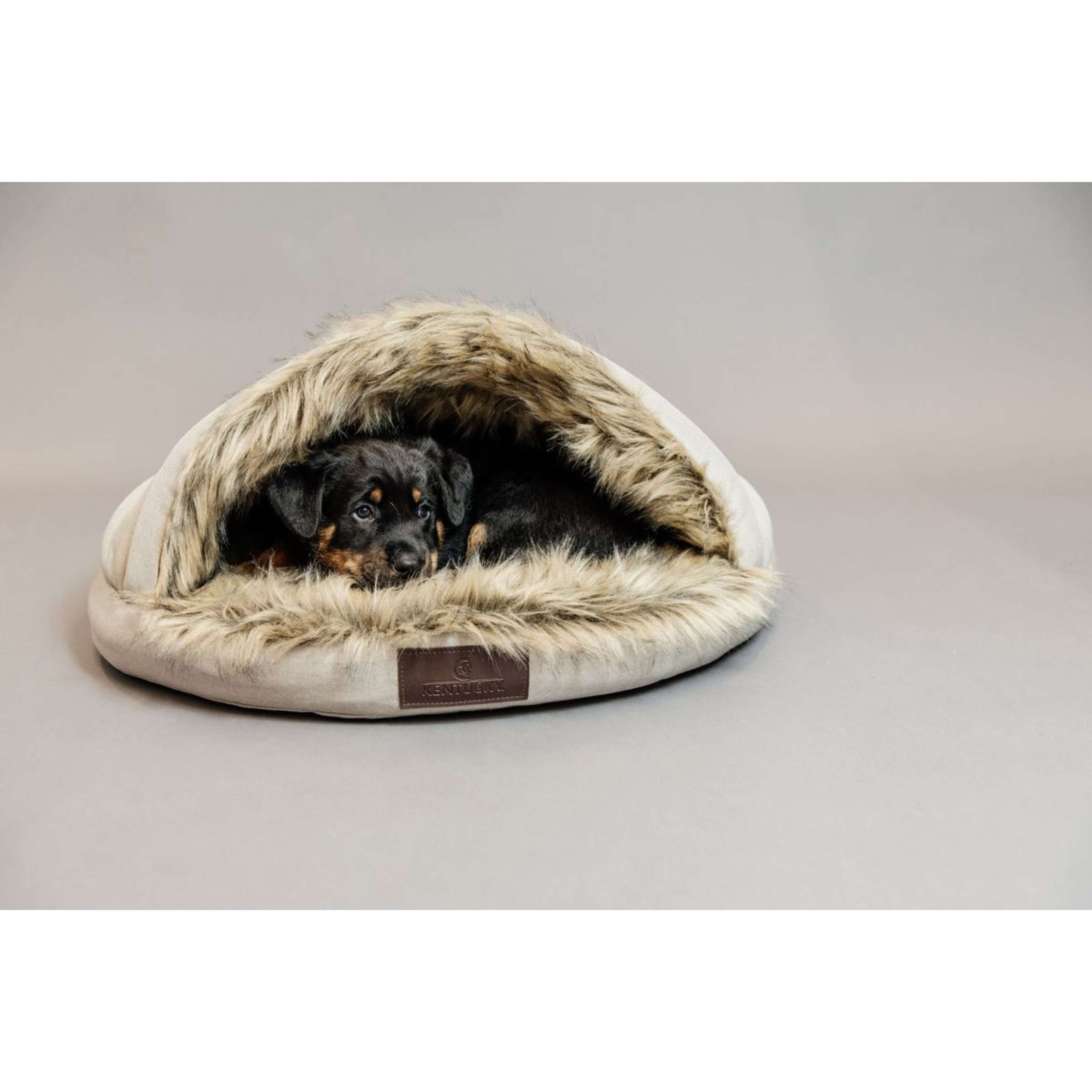 Kentucky Lit Pour Chien Igloo