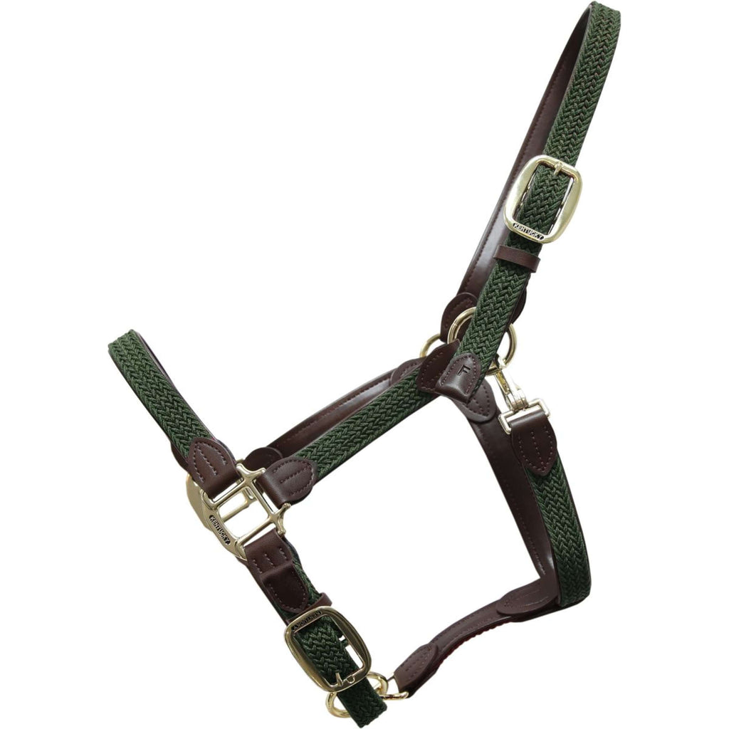 Kentucky Licol Nylon Tressé Olive Vert