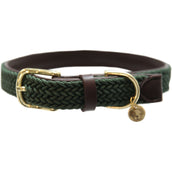 Kentucky Collier Plaited Nylon Olive Vert