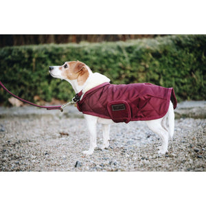 Kentucky Veste pour Chien Original Royal Bordeaux