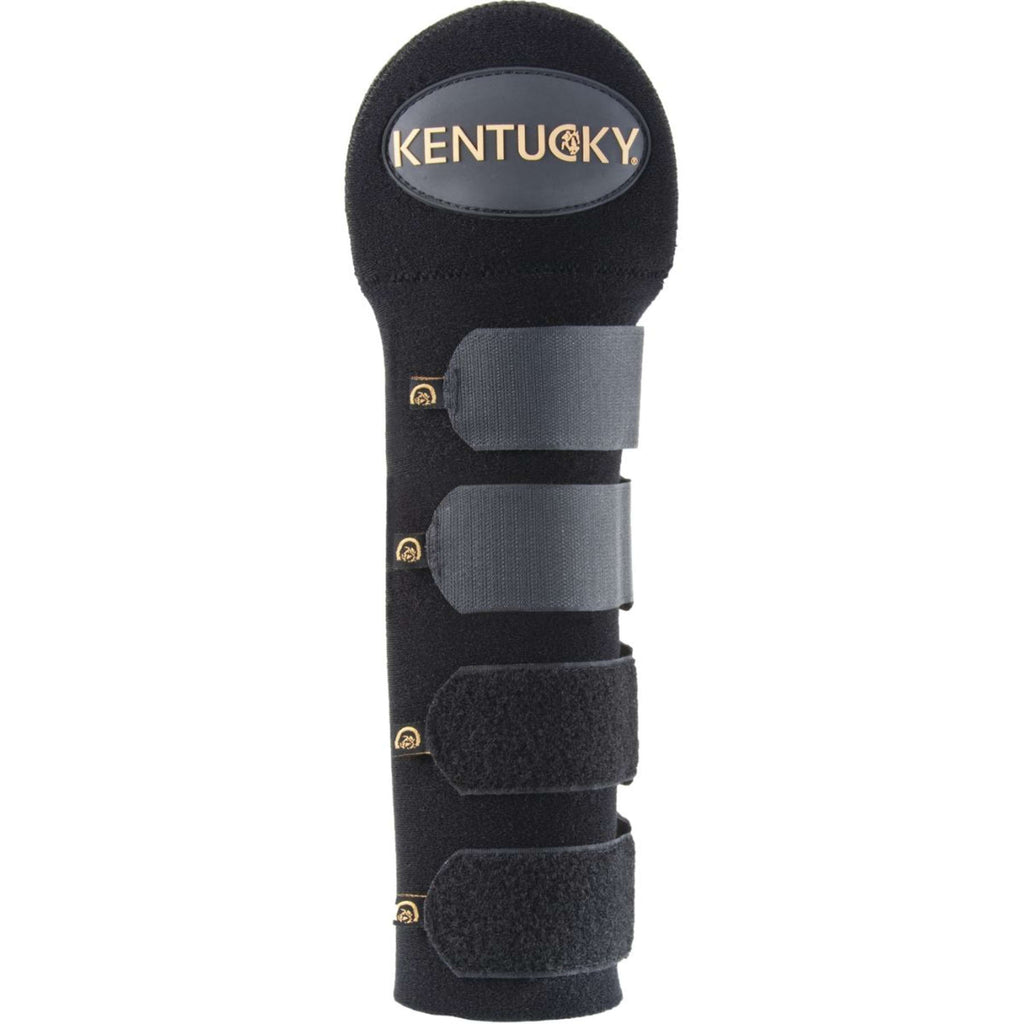 Kentucky Protège-Queue